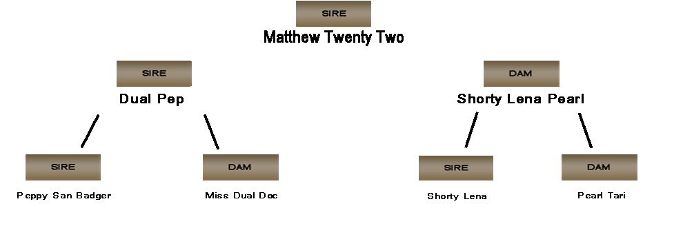 Mathew Twenty Two