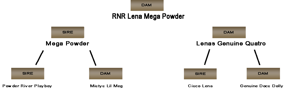 RNR Lena Mega Powder